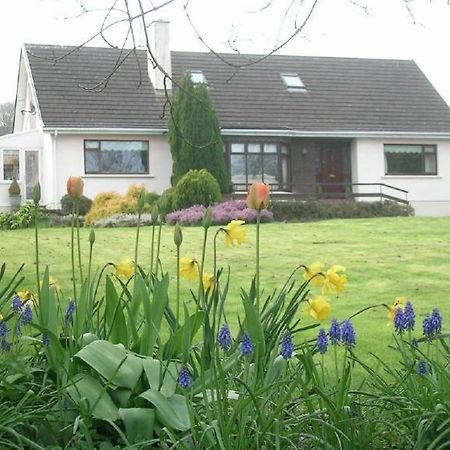 Bed and Breakfast Glen Na Smole Виклоу Экстерьер фото